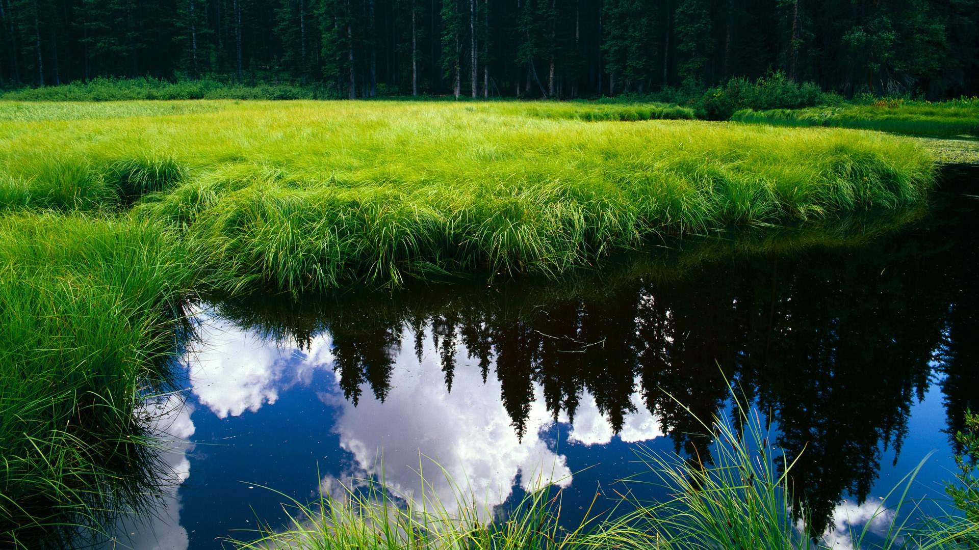 绿茵王权争霸夜，国家德比加时鏖战，国王力克奇才铸就经典