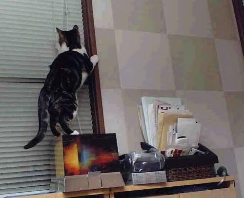 选择（任选其一）