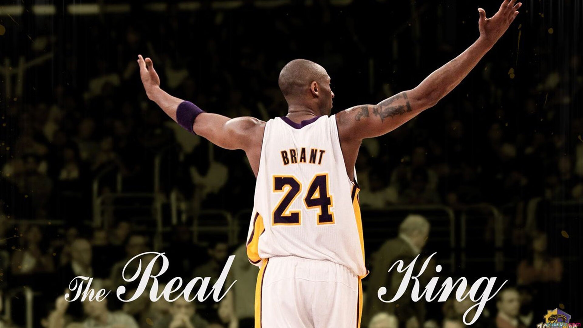 死神库里再现！勇士强势晋级，广厦悲情出局