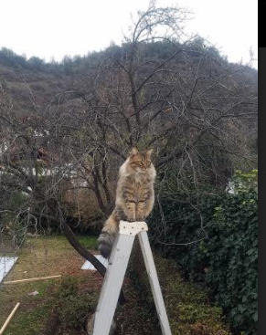 他不是英雄,只是用一次防守赢下了整个世界