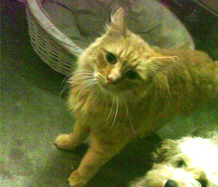 时间切割术，独行侠的永恒一瞬与新疆队的绵长呼吸