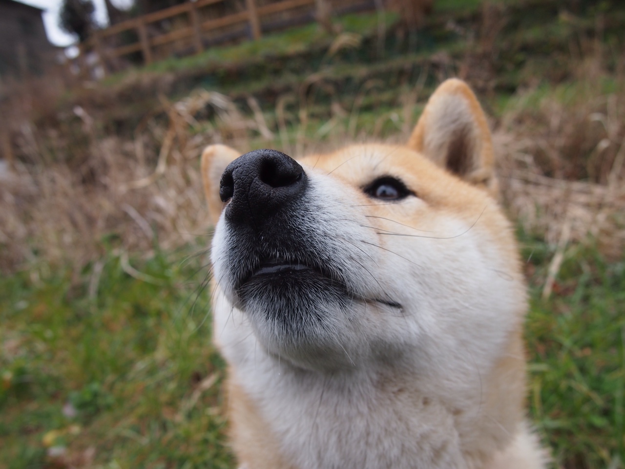 开云-世纪跨界一战，快船史诗绝杀改写世界排名争夺战