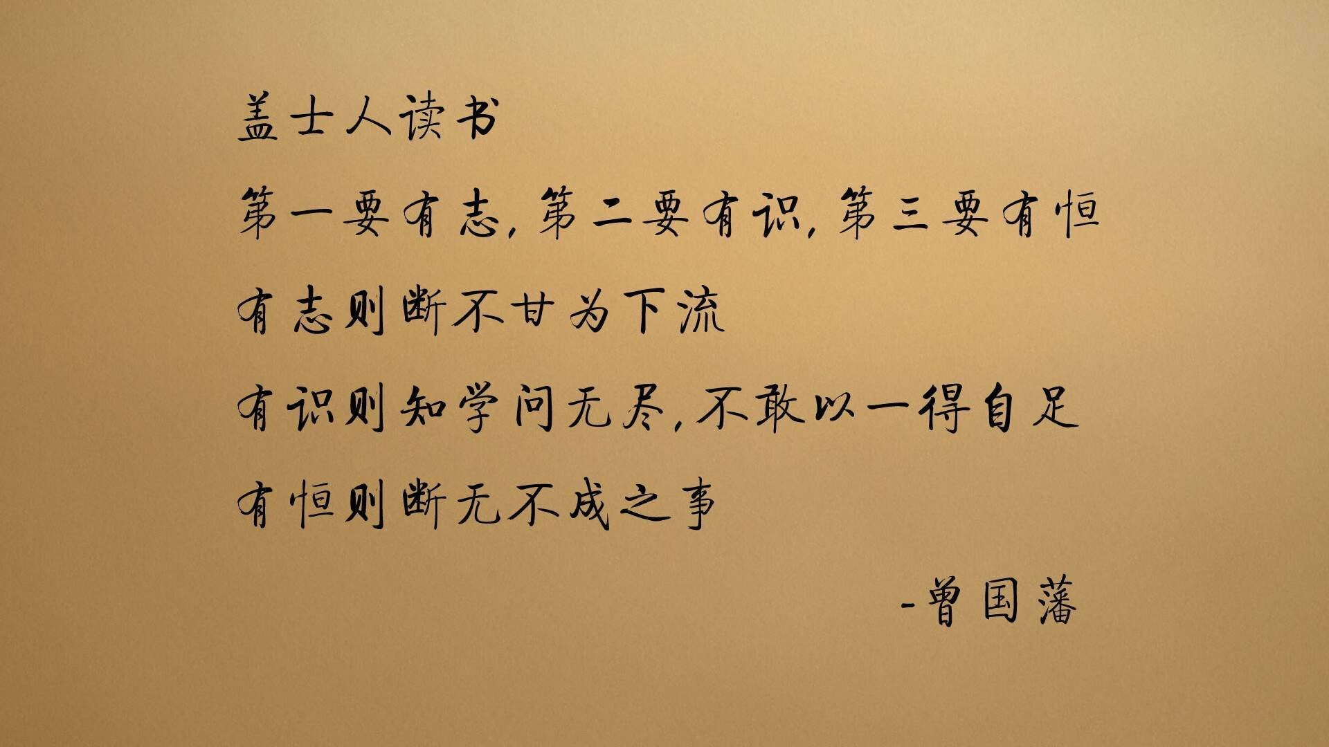 蓝白风暴下的南美独奏,厄瓜多尔如何在2026世界杯A组用唯一定义完美