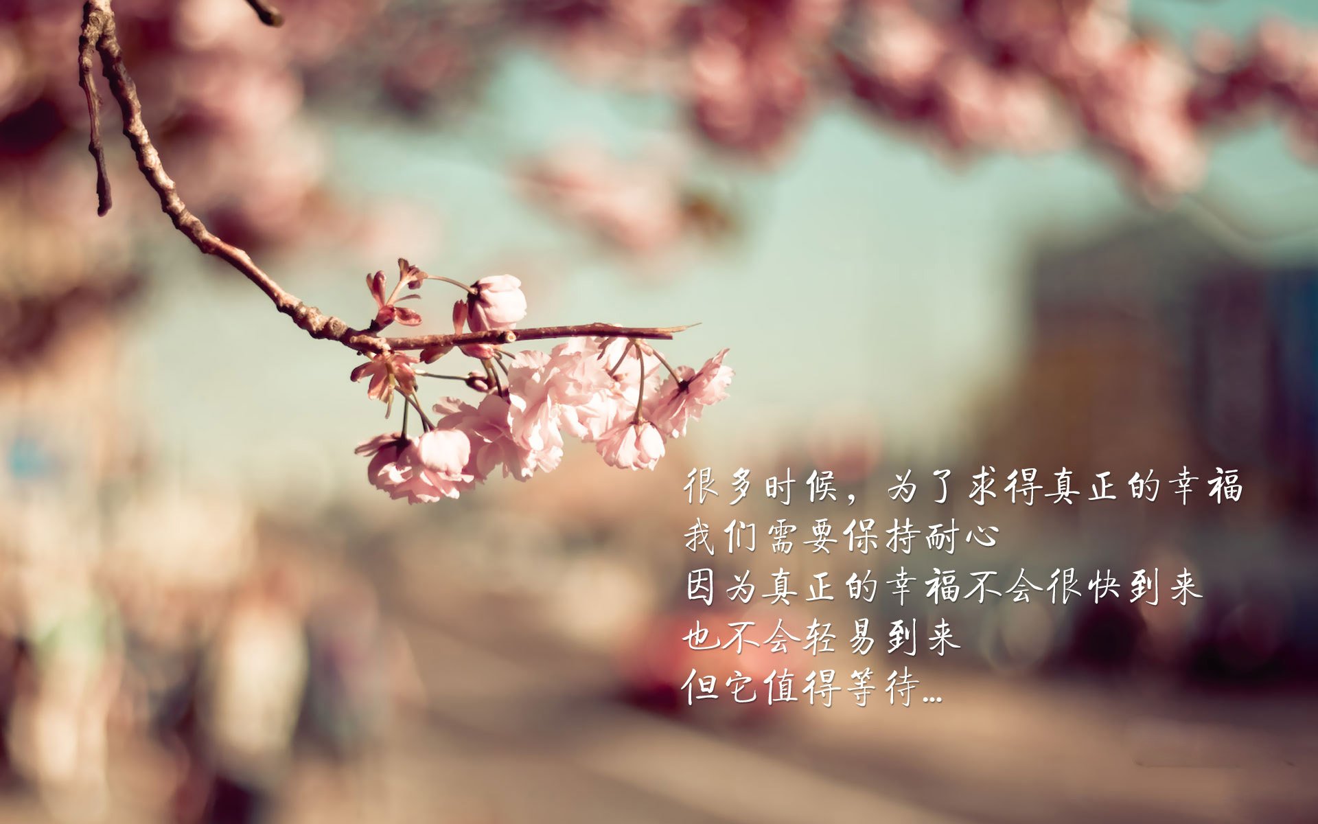 冷门之夜,2026世界杯B组,泰国横扫伊朗,布罗佐维奇完成致命一击,战术天才的完美棋局